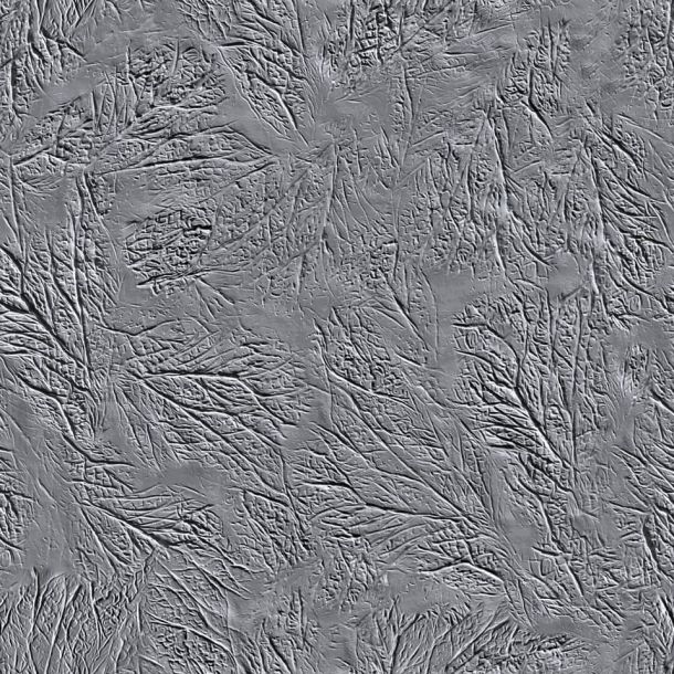 Oberfläche von Beton mit Fossil-Muster